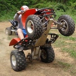 Meet your Posher, Caitlin